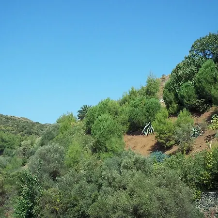 Hasinci מלון 2*